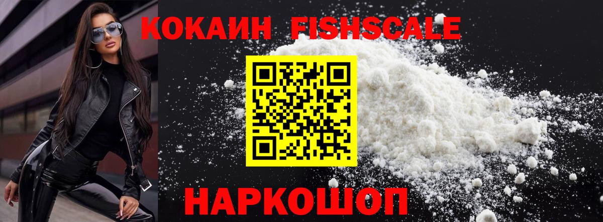 Cocaine Fish Scale  Cocaine Fish Scale  Муравленко  Cocaine  Вход с VPN 