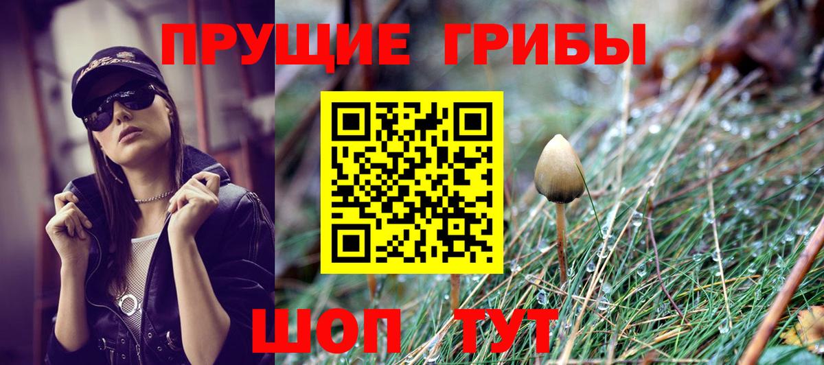 Псилоцибиновые грибы Psilocybine cubensis Муравленко